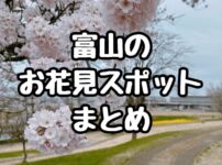 富山　お花見スポット