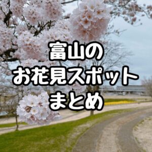 2024年最新】富山県内のオススメお花見スポット10選